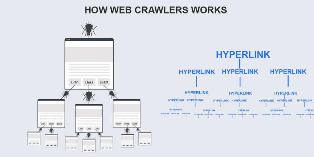 How Google Spider works